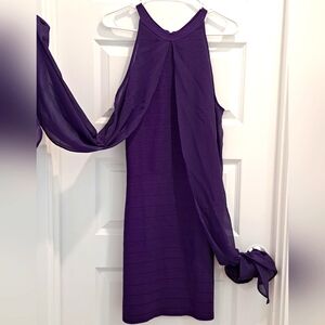 Elegant Purple Long Sleeve Dress,Brand New.Never Worn